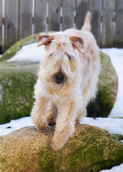 Aldor-feb-13-jumping-stone.jpg