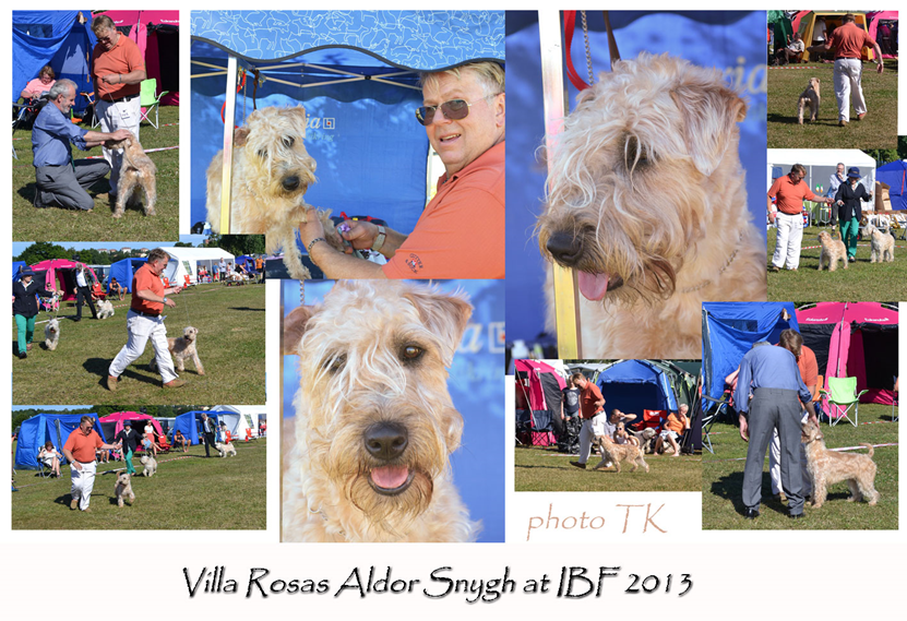 Aldor-at-Irish-Breed-2013_r.jpg