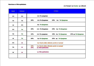 Arvsgaang-tabell-2.jpg