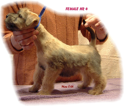 VR-O2litter-Female-Nr-4.jpg