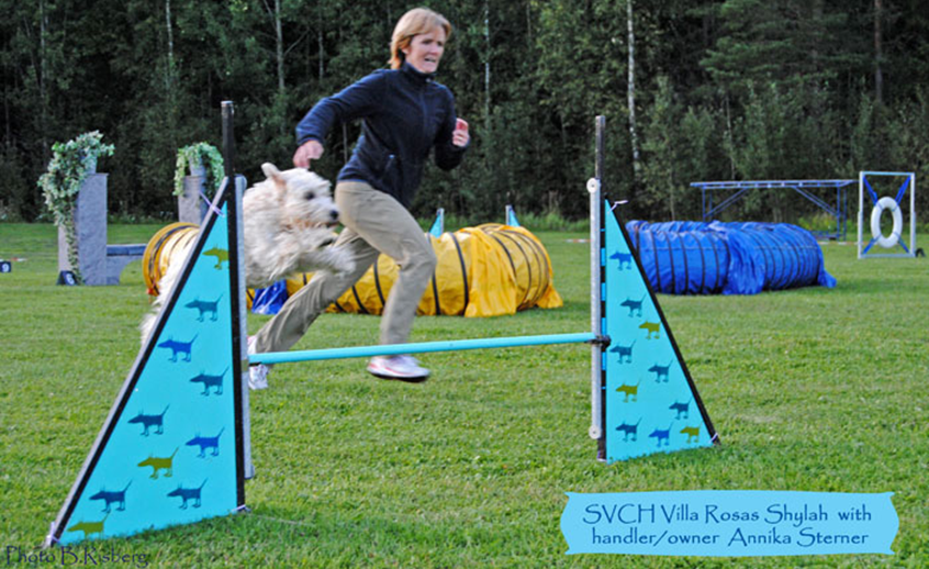 Shylah o Annika tävlar i Agility