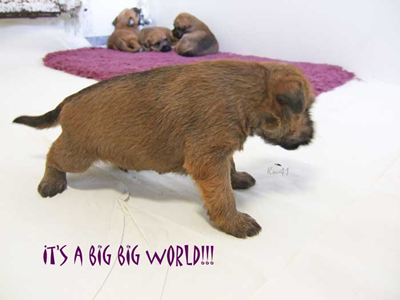 Y2-3weeks-Its-a-big-big-wor.jpg